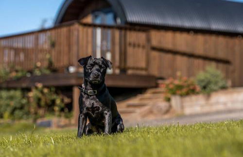 Luxury Glamping Pods - The Heft & The Hirsel - Foto 29