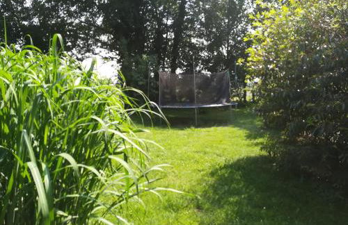 Wohlfühlurlaub auf dem Reit- und Ferienhof Goldberg - Foto 53