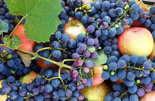 La Rocconella - Foto 27