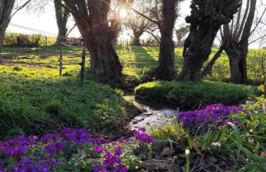 Beau soleil - Foto 17