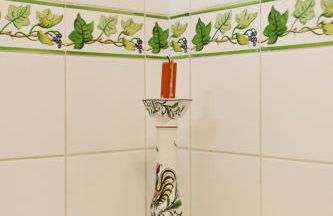 Vila Chácara Flora em Malveira da Serra - Foto 13