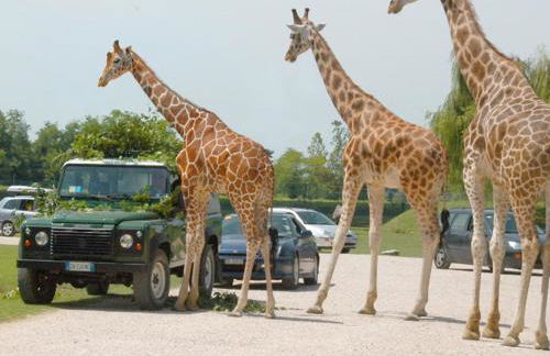 Al Castello Aparthotel - Camere e Appartamenti tra Verona e Lago di Garda - Foto 16