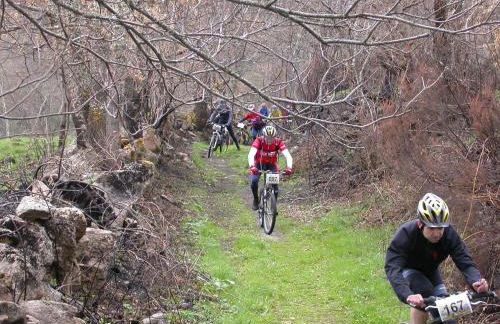 Casa da Fonte de Travanca - Foto 6