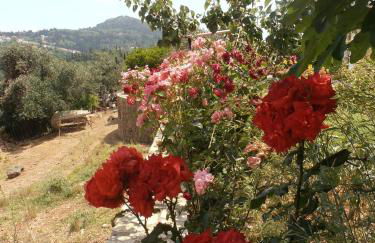 Linda House Corfu - Foto 76