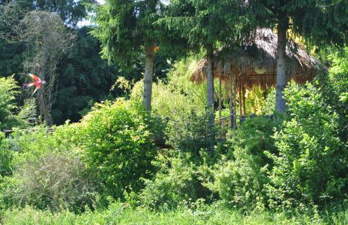 Ferienwohnung zur Mühle - Foto 13