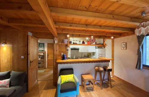 Appartement cosy au pied du MtBlanc - Photo 8
