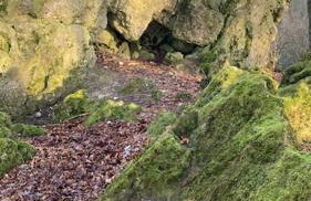 Ferienwohnung Zum Märchenwald - Foto 20