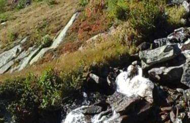 Pension & Appartament Anna - Foto 57