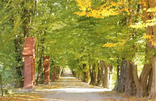 PILGRIM domek gościnny w Gietrzwałdzie na Warmii - Foto 37