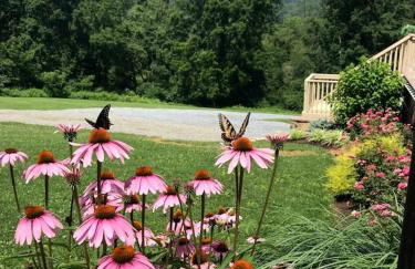 Fantastic A-Frame Cabin for a Couples' Getaway near Robesonia, Pennsylvania - Foto 6