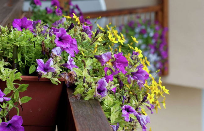 Apartment Near the ski Area in the Salzburg Region - Foto 12