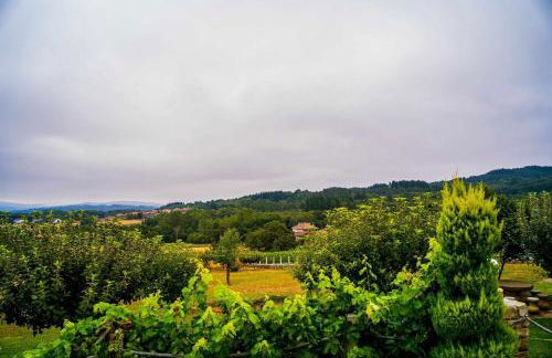 O Muiño - Casa Ferrador (Ribeira Sacra) - Foto 75