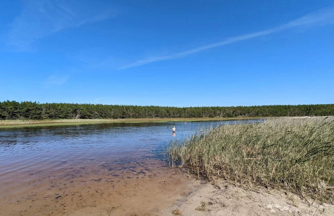 8 Person Holiday Home in Ulfborg - Foto 29