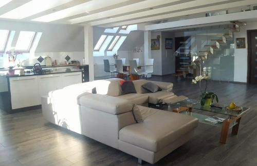 Apartamenty Holiday Slaw jacuzzi bilard - Foto 49