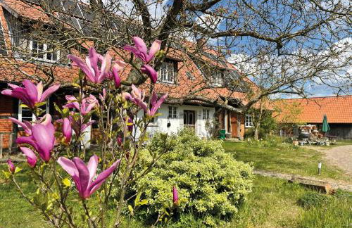 Ferienhof Rauchhaus - Foto 1