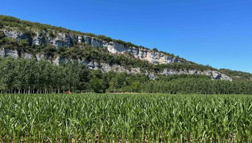 Maison de charme 3 étoiles avec piscine - Foto 5
