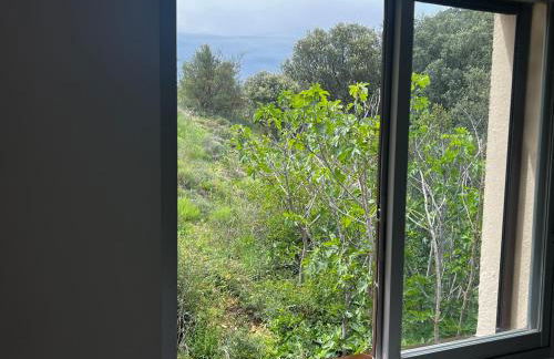 Apartaments La Pertusa 2o - Foto 9