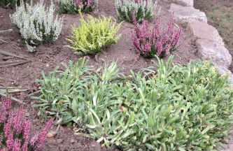 APPartementWESTiNGhaus - Photo 9