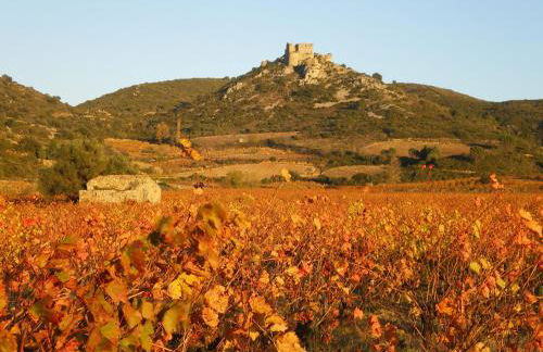 Yourte Nature / Gîte Saint Roch - Foto 47