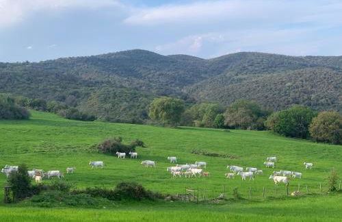 Fattoria Tolomei - Foto 21