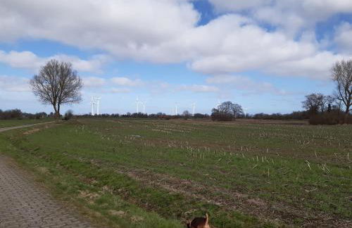 Ferienwohnung Frisia - Photo 14