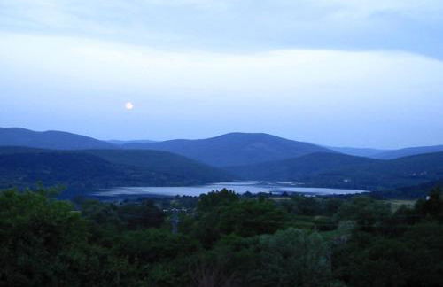 El Patio de la Morera I - Foto 12