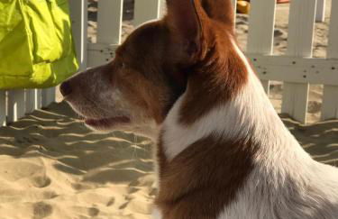 La Casa di Pamy - Foto 45