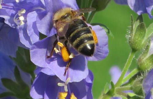 Holiday home Corinna - Foto 8