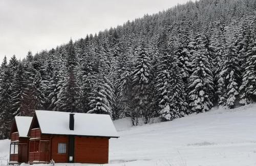 Domki na Zagroniu - Foto 26