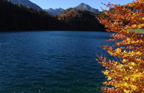 Apartement Hintere Schöne - Foto 22