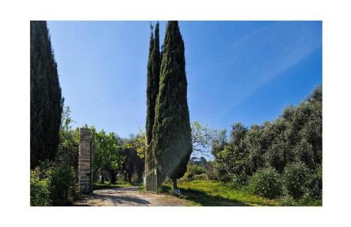 Gorgeous Apartment In Camporosso - Photo 24