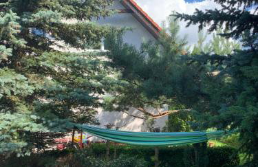 Agro-szyszynka - Foto 21