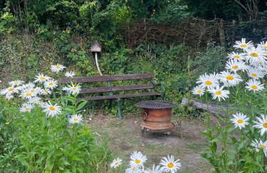 Tranquil 1 bedroom cottage 15 mins drive to sea - Foto 27