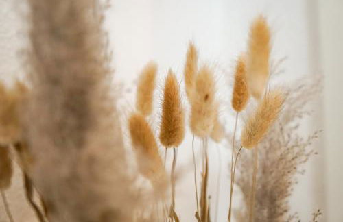 HOMY I Stilvolles Apartment Gohlis Netflix & W-LAN - Foto 19