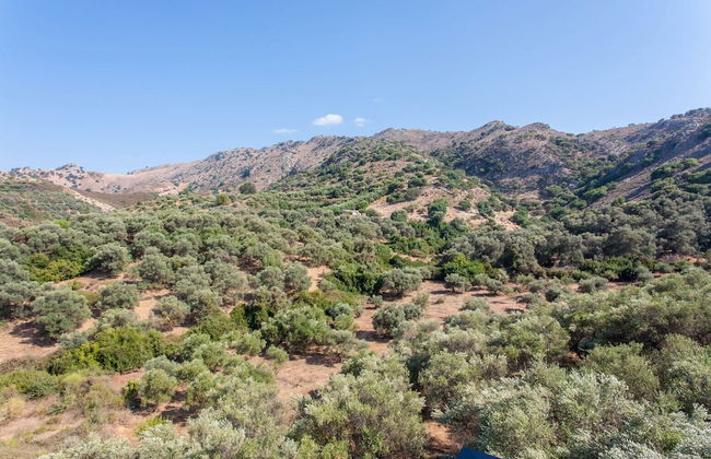 Sound Of The Mountain Chania - Foto 42