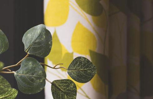 #06 Riverside Retreat Near the NEC fast WiFi - Foto 8