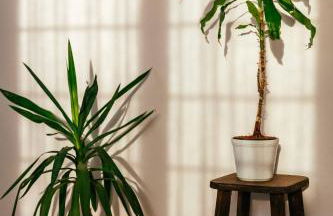 Casa villetta "La Colomba" Nizza Monferrato - Foto 66