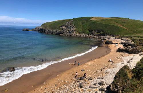 Olas y flores silvestres 2 - Foto 29