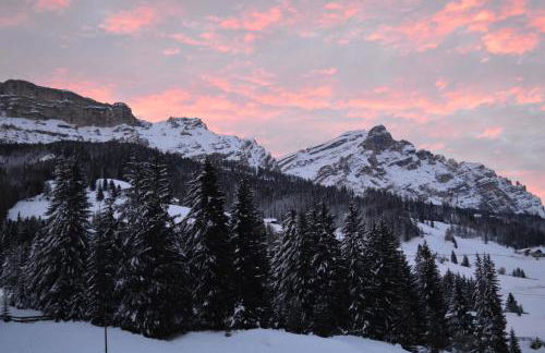 Ciasa Andy - Foto 19