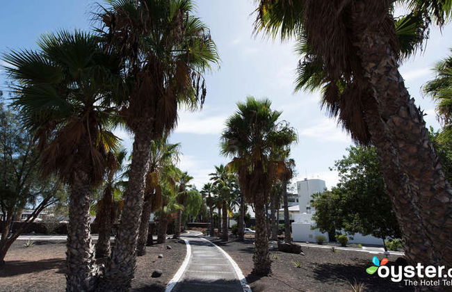 Palmeras Garden - Foto 31