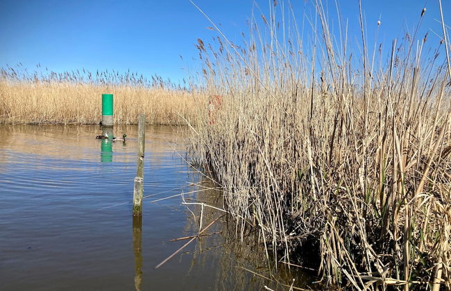 6 Pers House Marijke With Winter Garden and Direct Access to the Lauwersmeer - Foto 48