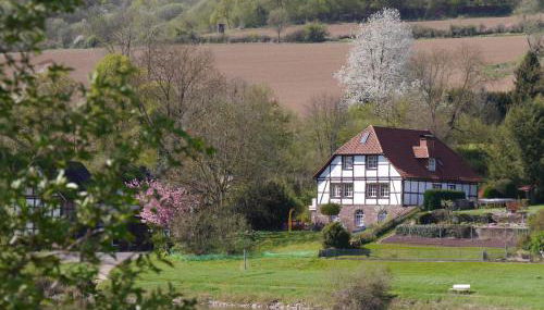 Ferienwohnung Weserblick Polle - Foto 1
