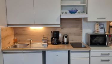 Le Tétras - Ski, rando, VTT profitez-en ! - Foto 3, stove