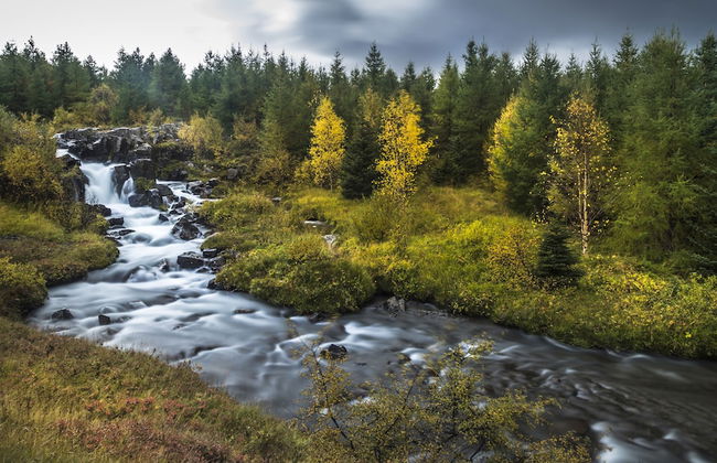 Kaldá Lyngholt Holiday Homes - Foto 20