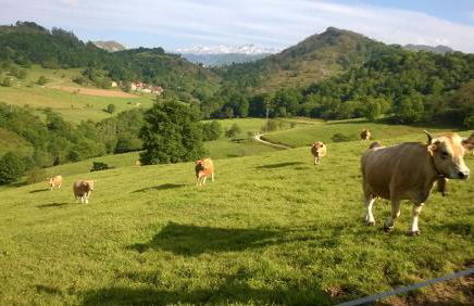 El Portiellu - Foto 71