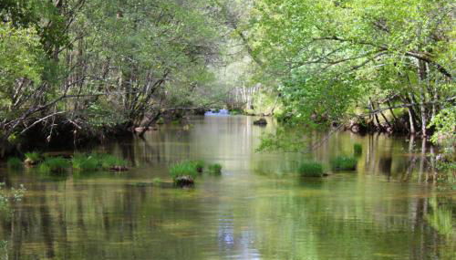 Casas da Assureira - Foto 5