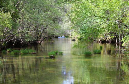 Casa Boletus - Foto 68