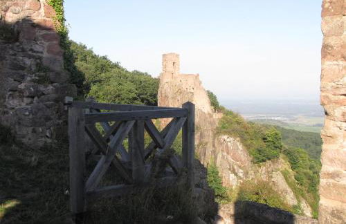 Le Bretzel - Foto 12