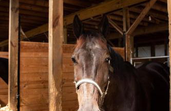 Farmhouse of Blessings - Foto 73