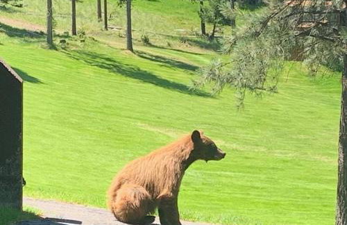 Silvertip Trailhead 2 - Foto 27